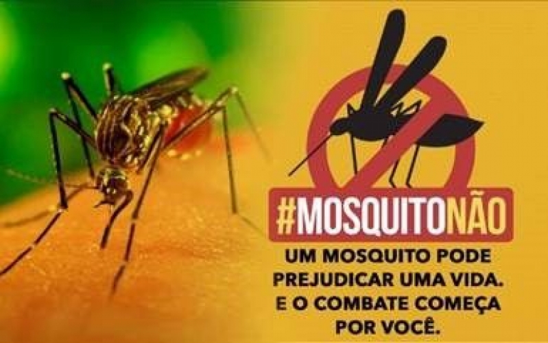 Combata o Mosquito