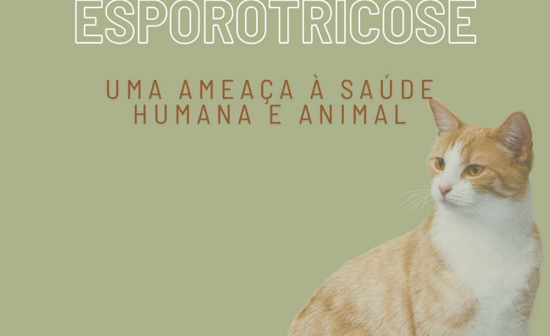 Esporotricose - Uma ameaça à saúde humana e animal
