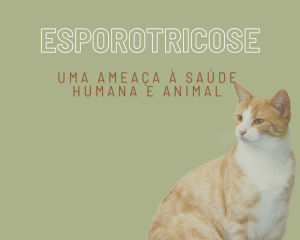 esporotricose-1.png
