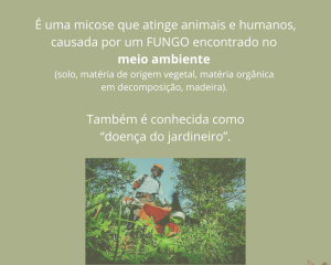 esporotricose-2.png