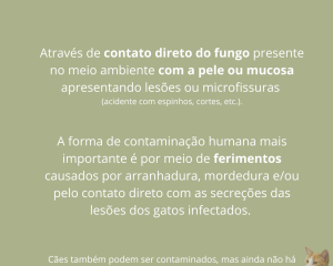 esporotricose-3.png