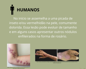 esporotricose-5.png