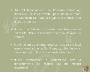esporotricose-7.png