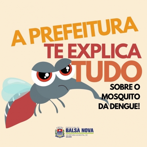Saiba tudo sobre a dengue e como se proteger!